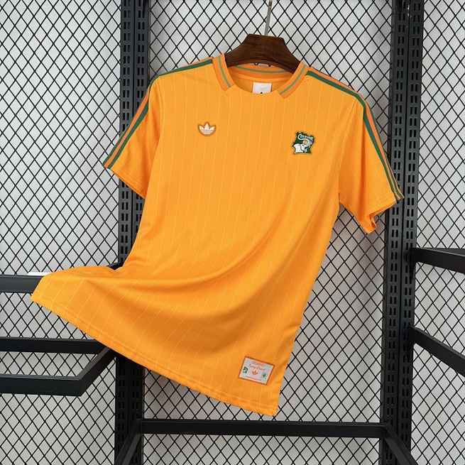 Mens Cameroon 2026 Terrace Icons Jersey