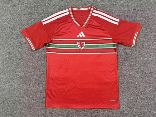Wales 2026 Home soccer jersey size S-4XL