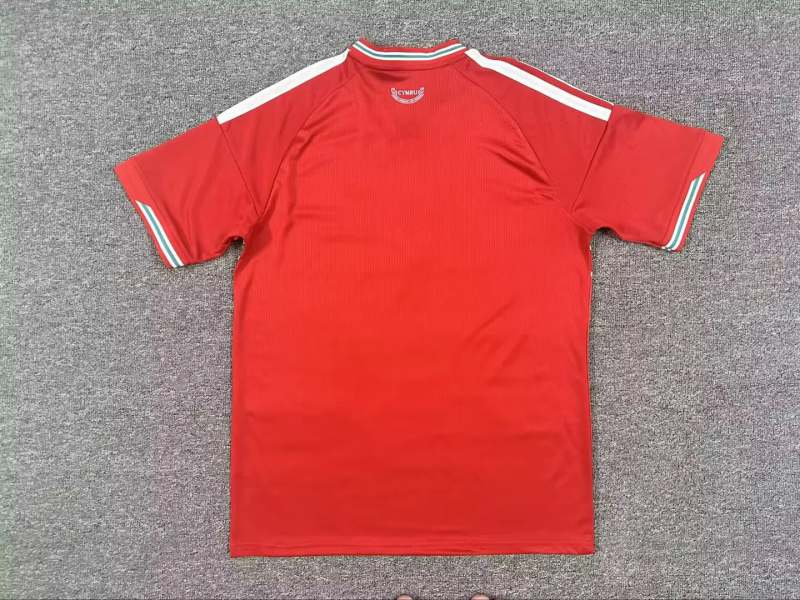 Wales 2026 Home soccer jersey size S-4XL