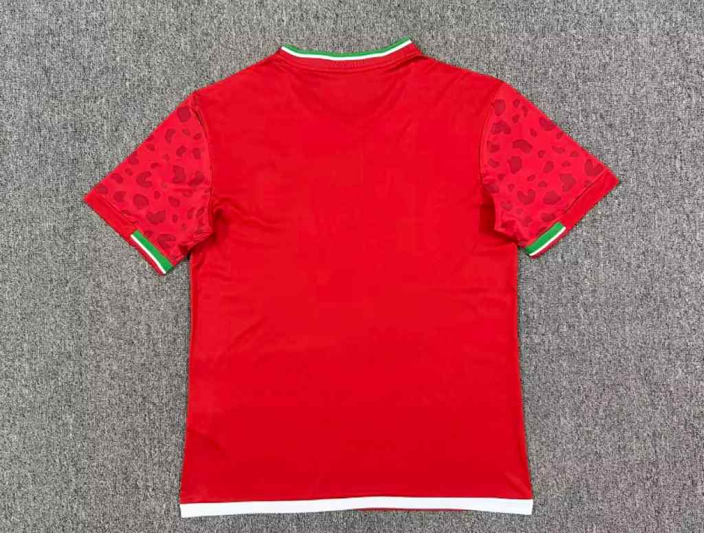 Iran 2026 World Cup Away Soccer Jersey S-4XL