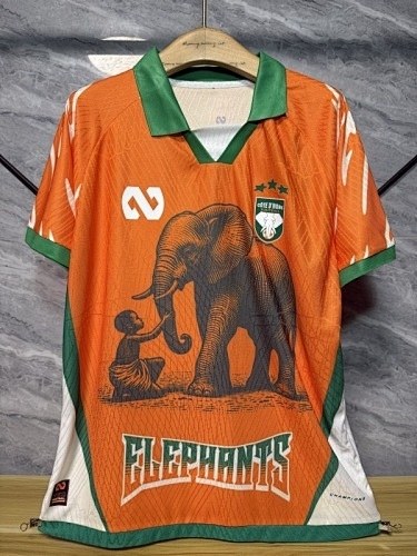 Ivory Coast 2025/06 Orange Special Player Version soccer jersey size S-2XL