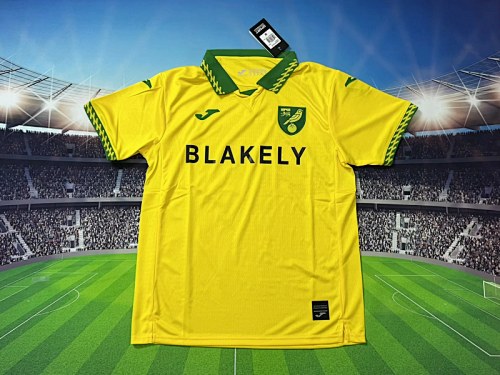 Norwich City 2025-26 Home Jersey