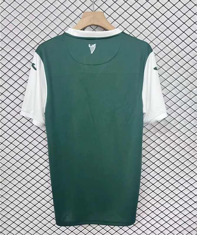 25-26 Hibernian home Jersey